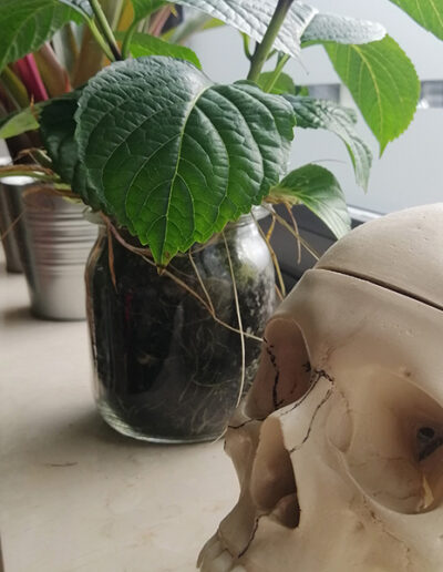 Impressionen Aus Der Physiotherapie Praxis Renner Und Minge